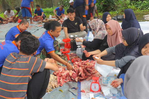 Meriahkan Idul Adha Universitas Esa Unggul Gelar Pemotongan Hewan